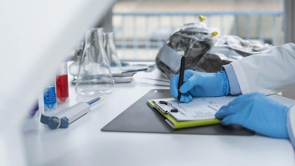 Quels sont les avantages des certifications écologiques pour les petites entreprises du secteur de l'hébergement touristique ?